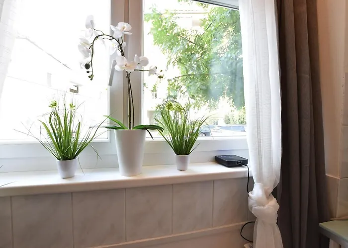 Big Place In Center With Parking